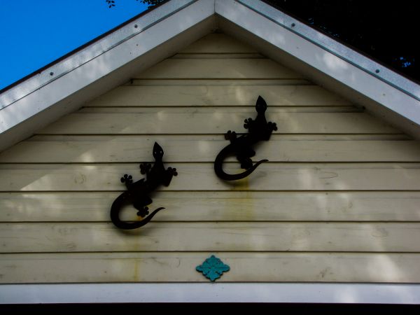 Cost of Shiplap Siding Installation in Mansfield