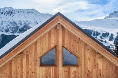 Winter Siding Considerations