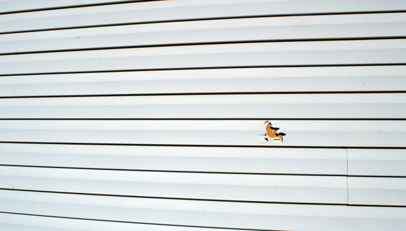 Comprehensive Siding Repairs